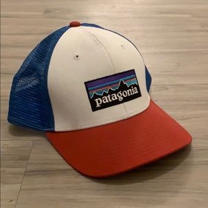 Patagonia Trucker Snap back